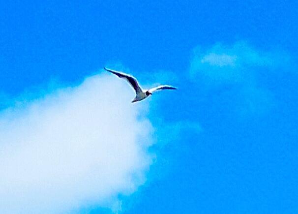 Оставить в покое суету и хаос.