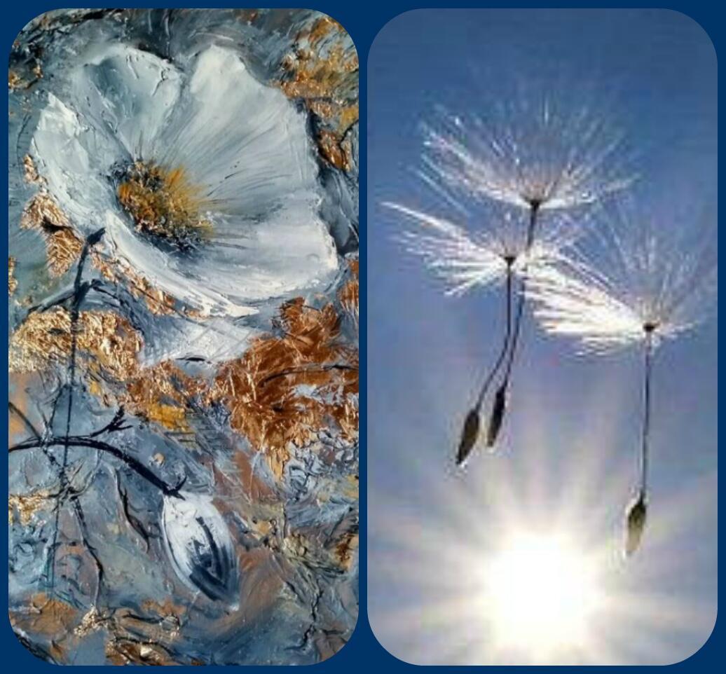 Летят одуванчики