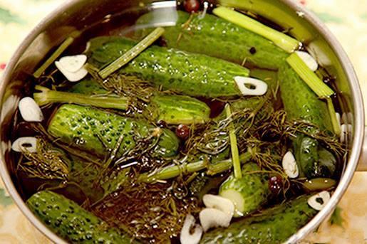 Полюбил я эту бабу прям навеки!