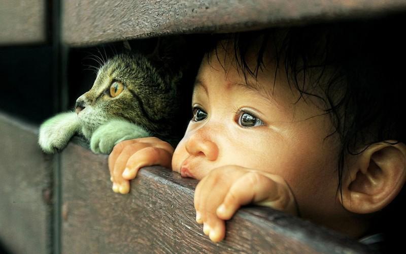 смешное фото.