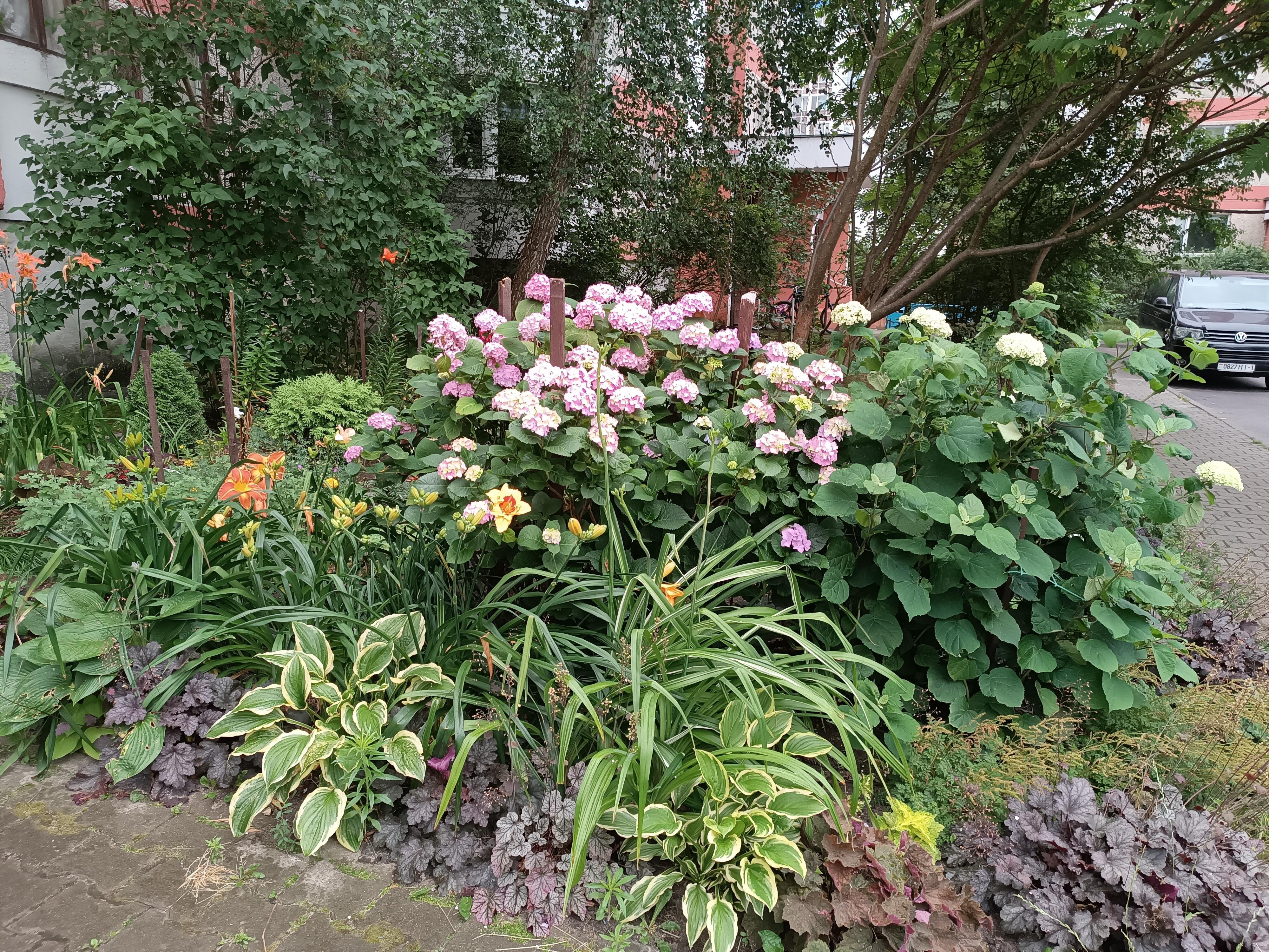 Проза жизни