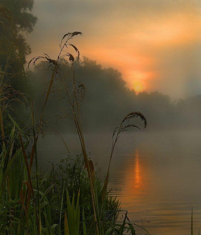 Ночное небо