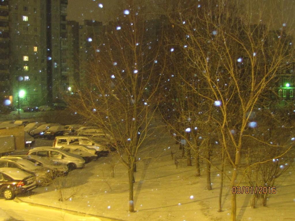 ВСЁ СРОСЛОСЬ…(через 190 лет)