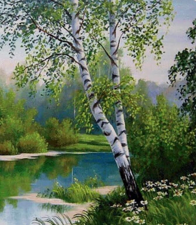 "Берёзка под моим окном"