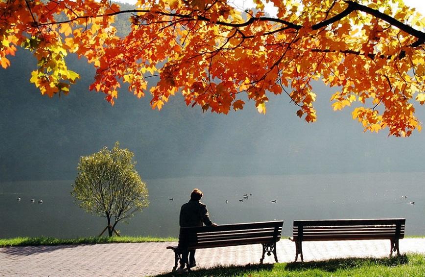 "Мы с осенью вместе..." (06.08.2017)