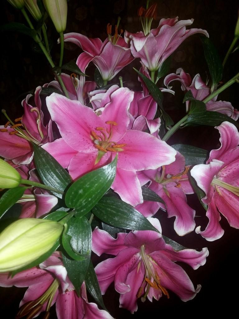 Сказка Мгновение (из размышлений...)