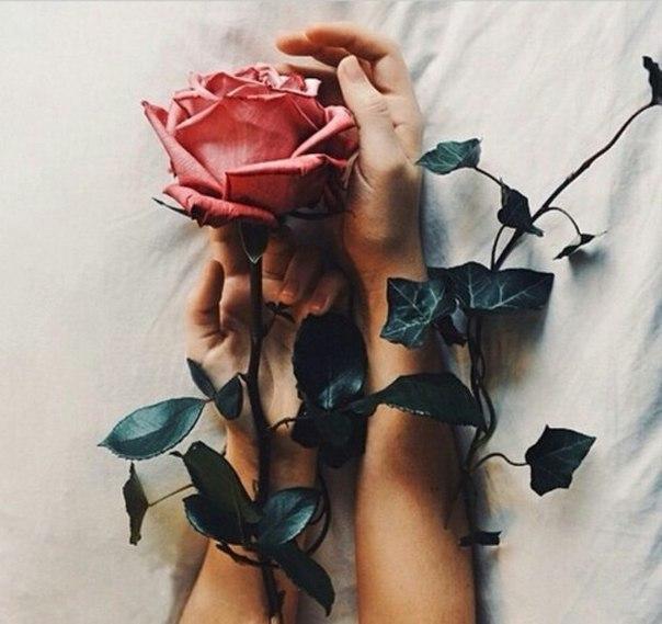 "Я так люблю..." или "Тепло твоих рук..."