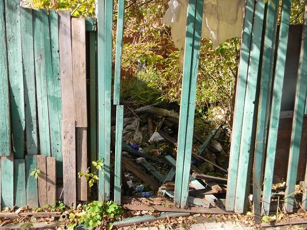 ЧЕГО МЫ ЖДЁМ ОТ РОДИНЫ?