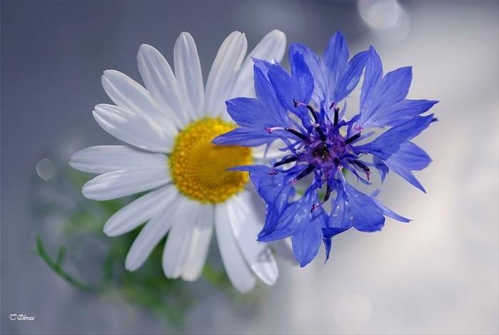 А что будет завтра?