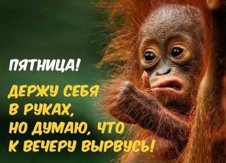 Пятница