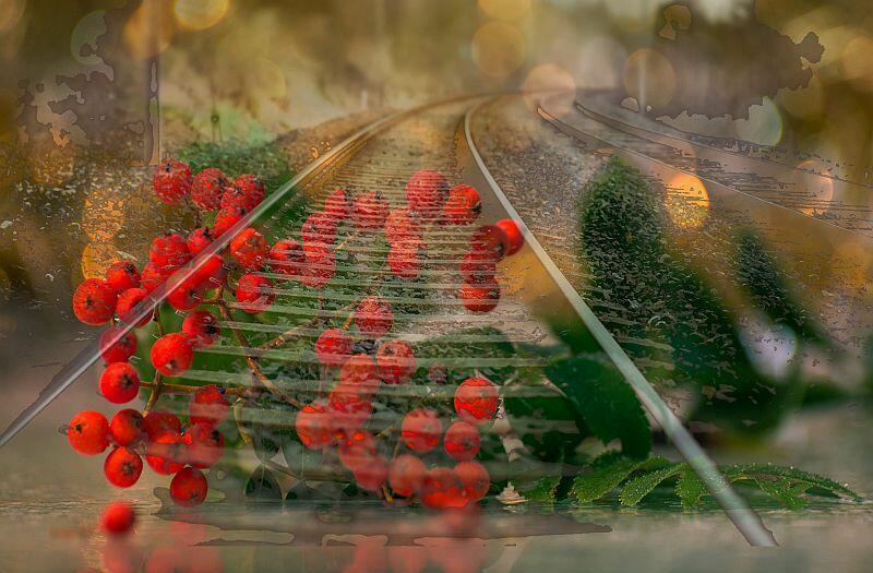 У сентября тепло тревожное...