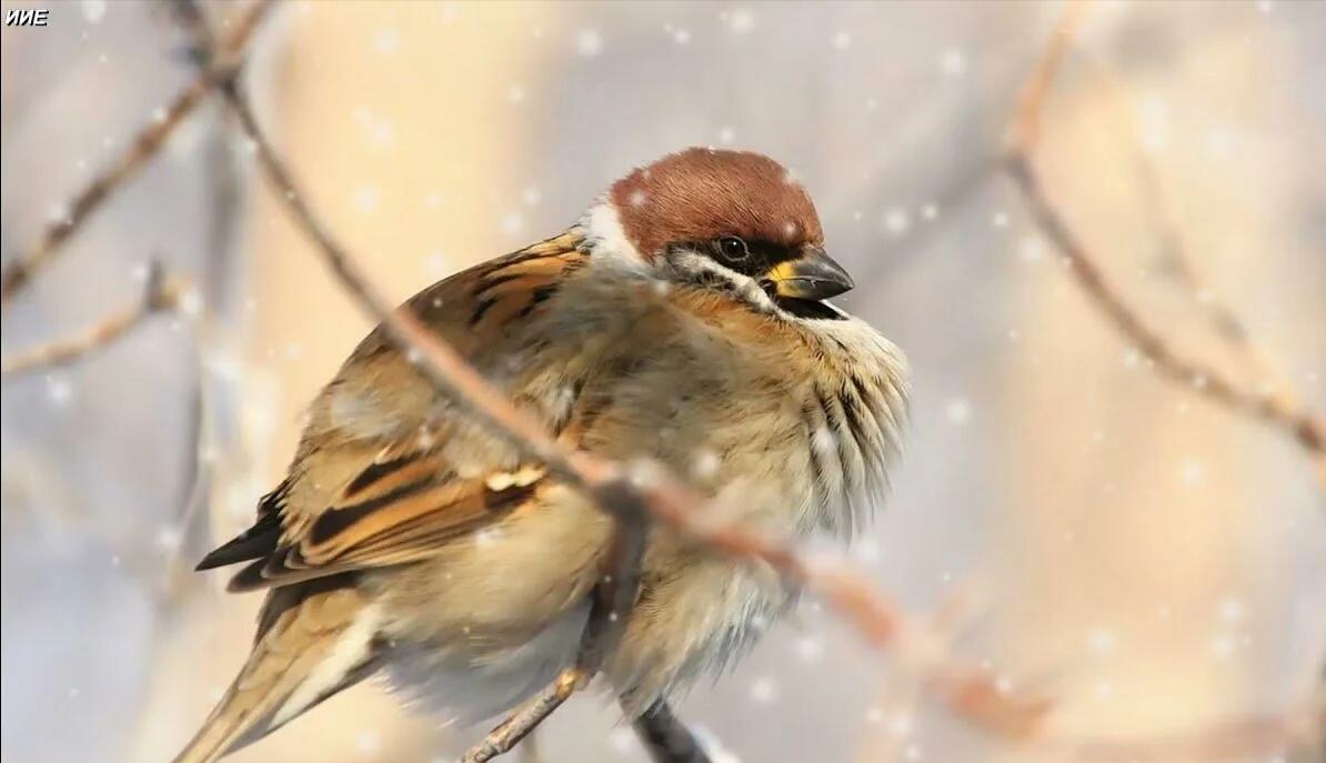 Ноябрь пришёл