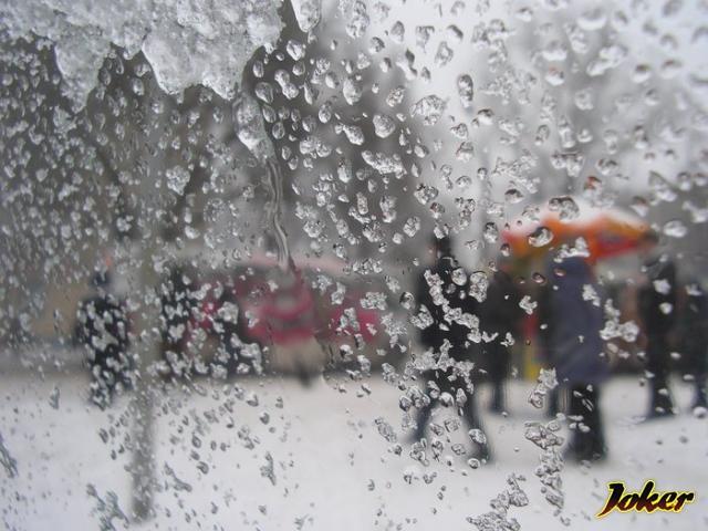 0453 Балет январского дождя