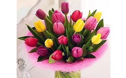 О, милые женщины! Жуткая скука...