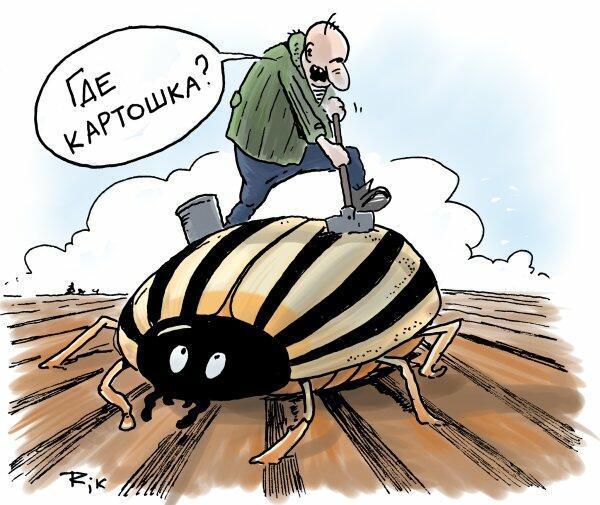 В зоне рискованного земледелия