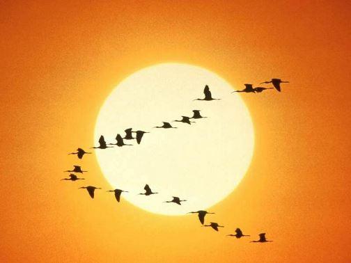 В движении - жизнь!