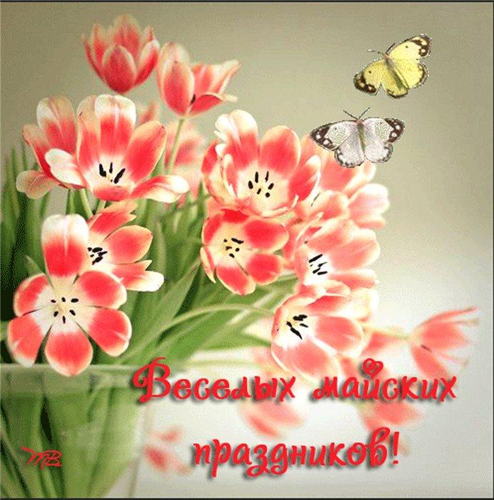 ПОЗДРАВЛЯЮ ВСЕХ С 1 МАЯ!