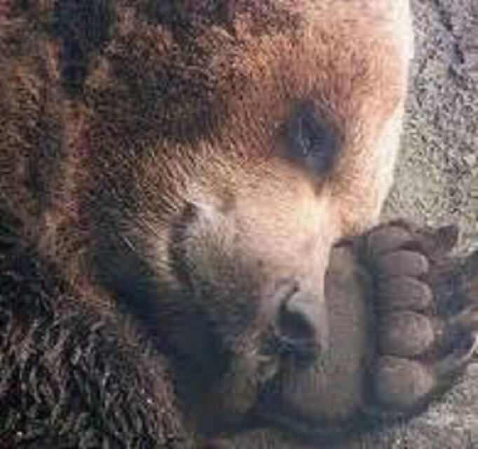 СТИХИ ДЕТЯМ_3