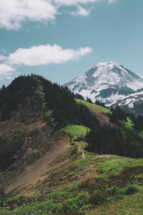 Новая жизнь