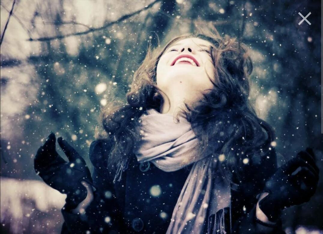 Белые птицы (первый снег)