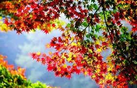 Бабье лето.