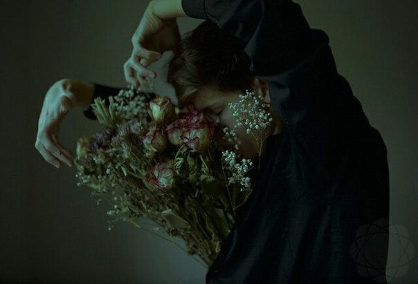 Нежная мелодия скрипки