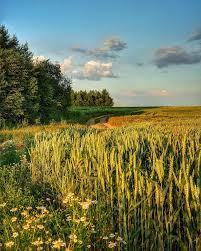 Последнее число, от Лета...    