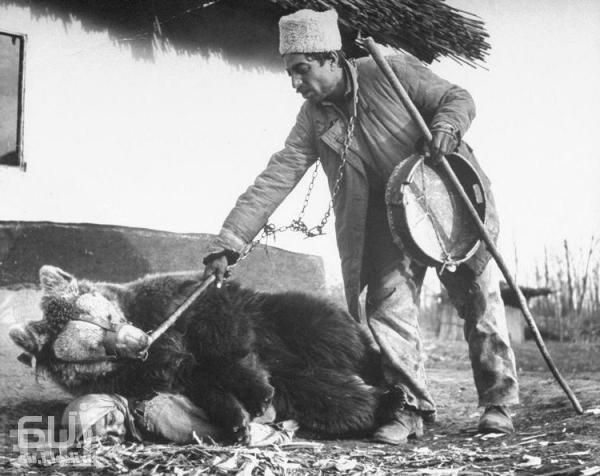 Танцующий медведь