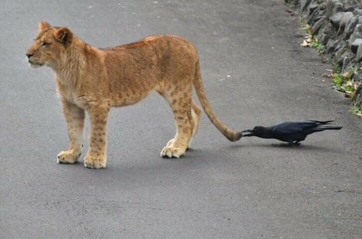 Ответ Байдена Кремлю