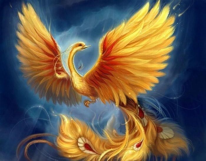 Приснился сон – ловил я птицу