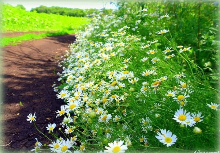 Радуга любви