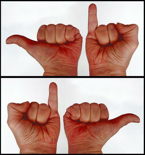 Координация