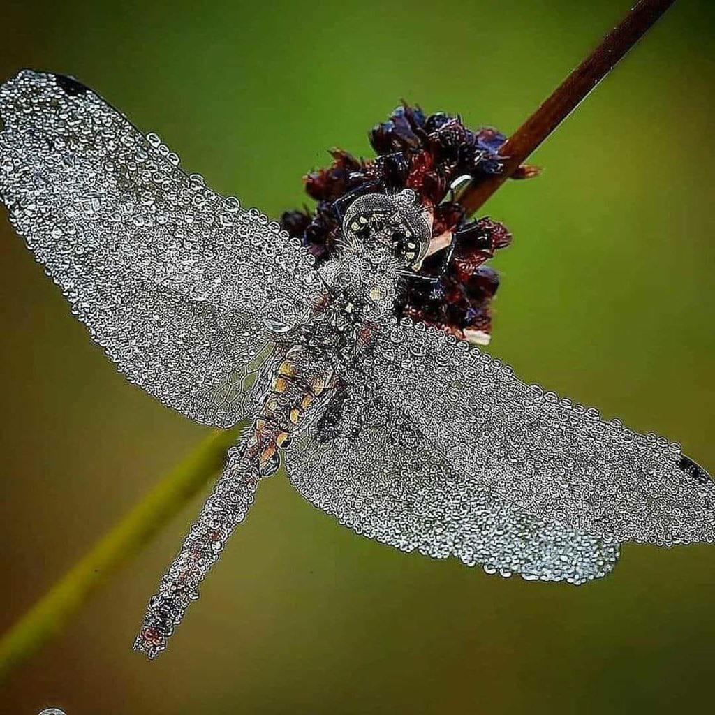 И смеяться над глупостью
