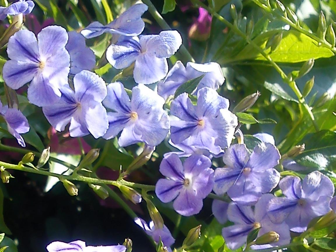 Притчи, глава 29 - перевод с иврита