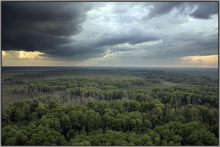 Дороги судьбы