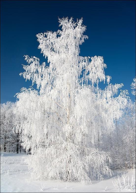 ВЕСНА