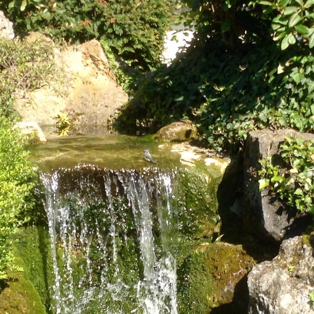 Время нежности