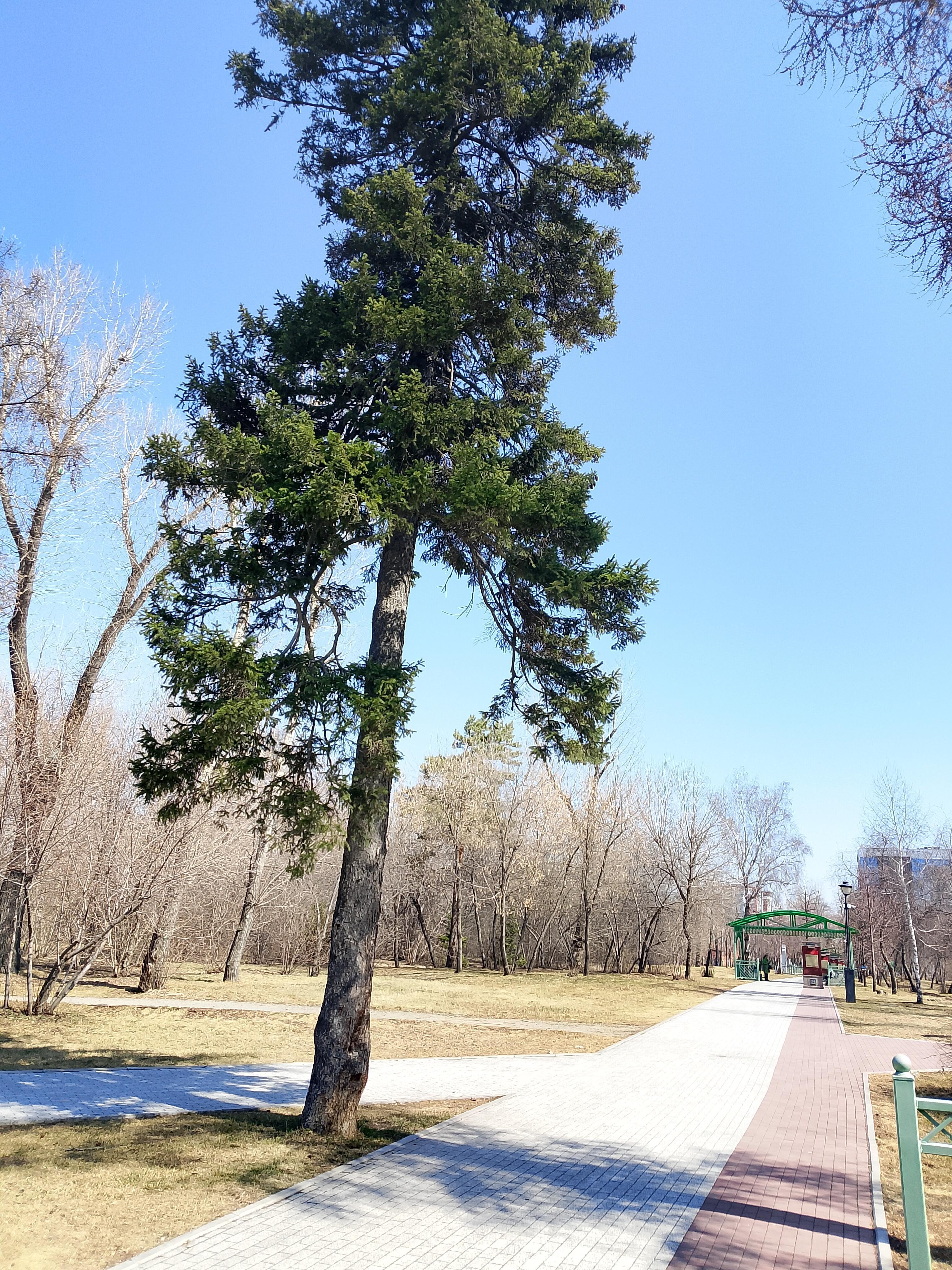 Весенняя серость...