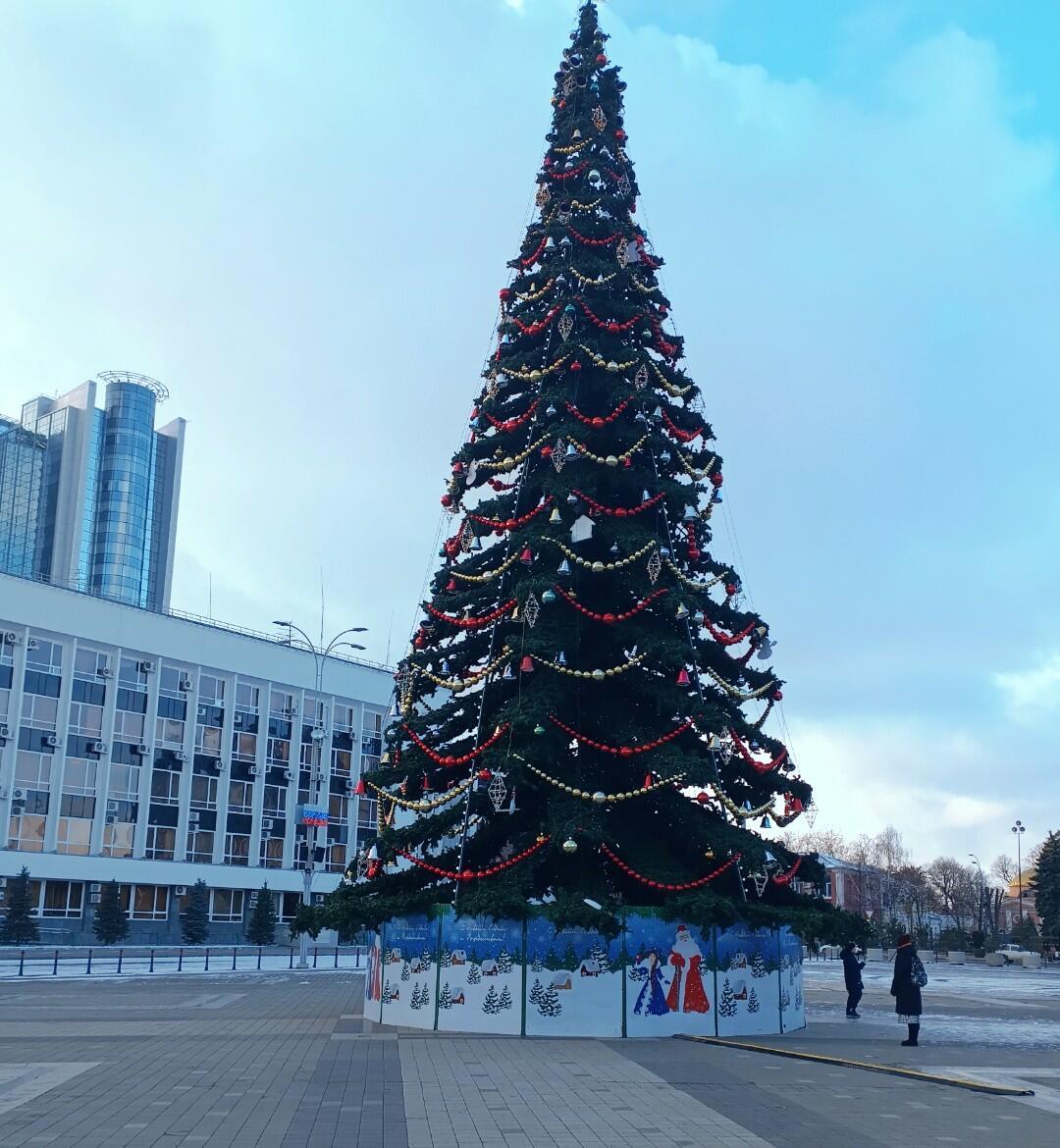 Мы неизменно верим в волшебство 