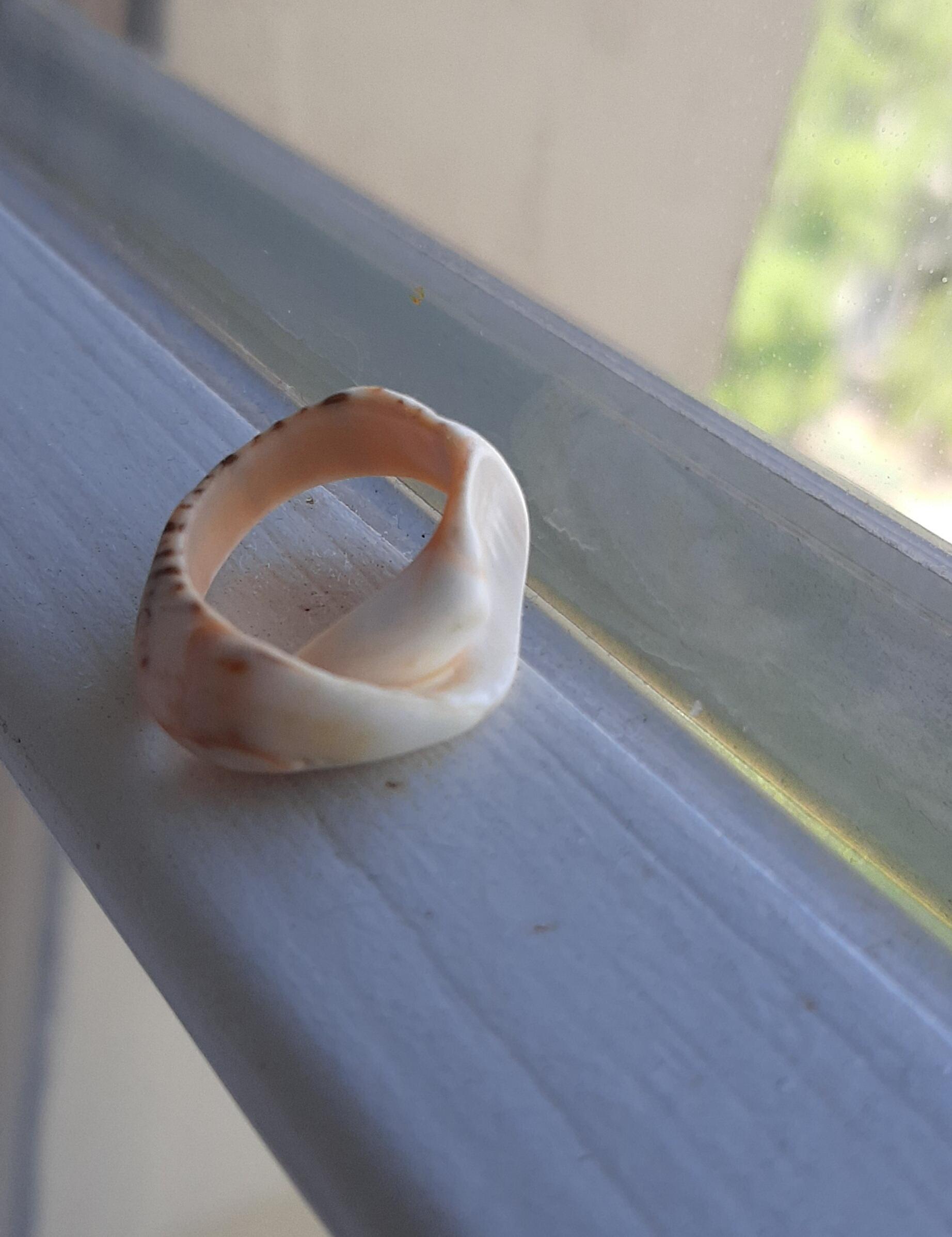 Стук твоего сердца