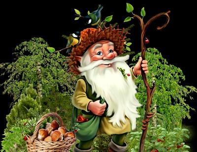 Сбор грибов