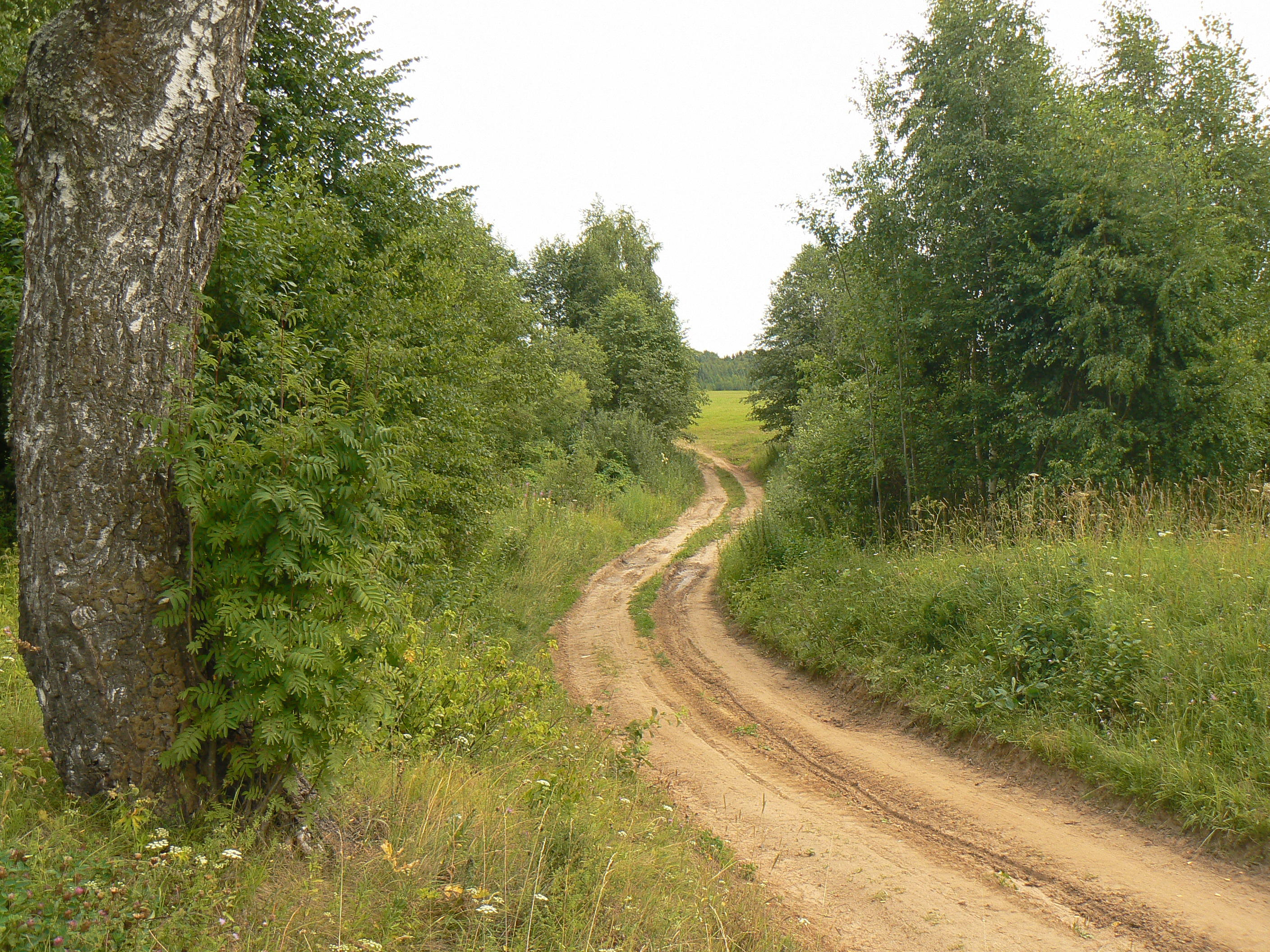 Старые российские дороги