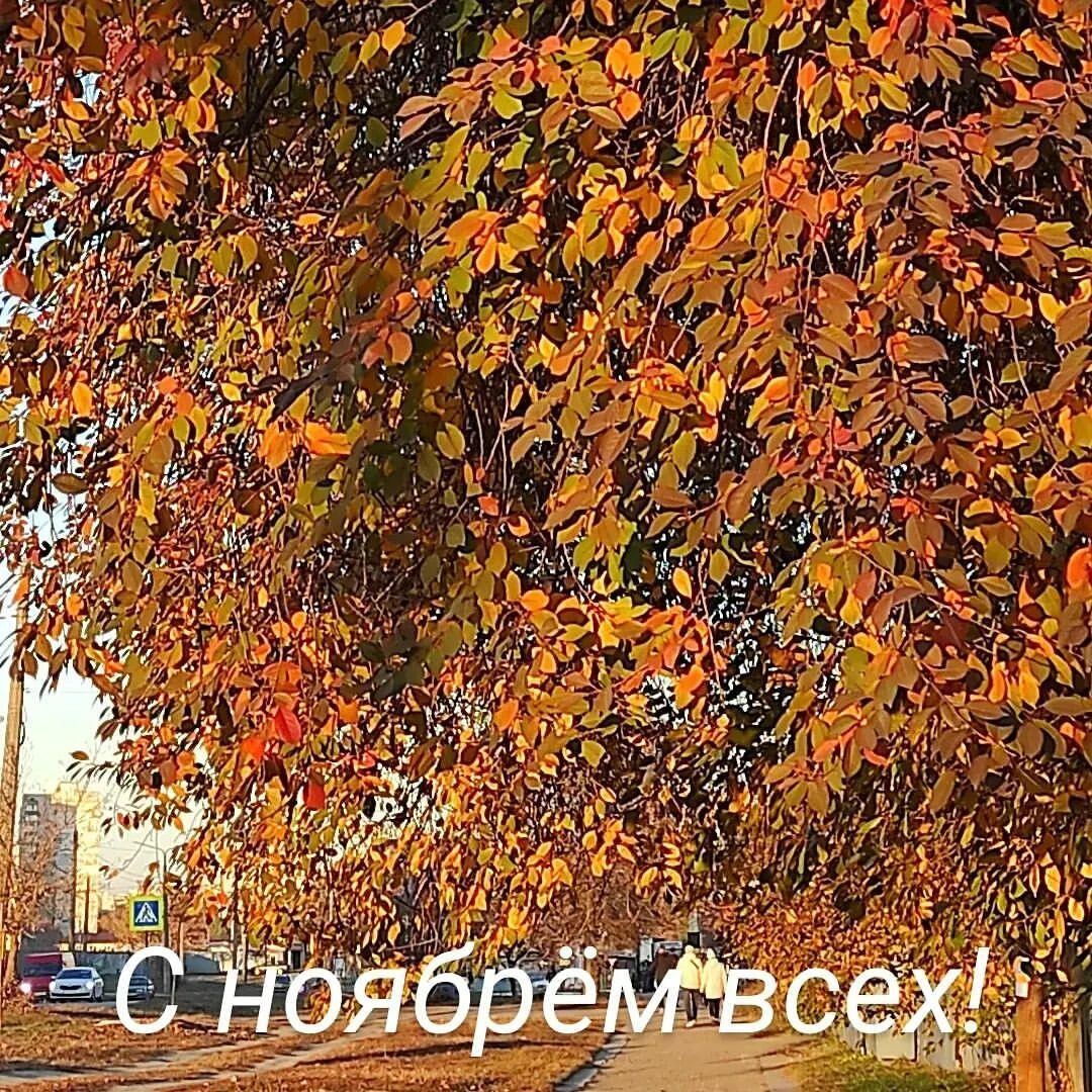 С НОЯБРЁМ ВСЕХ