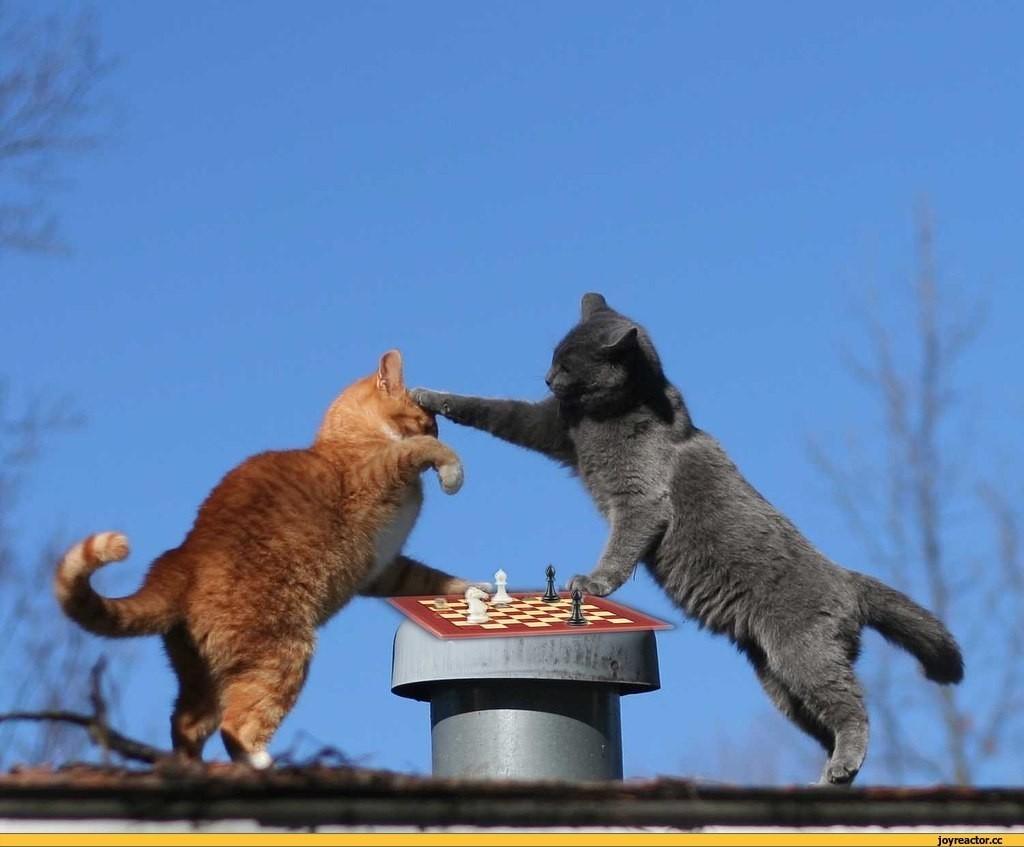 А что делать то...