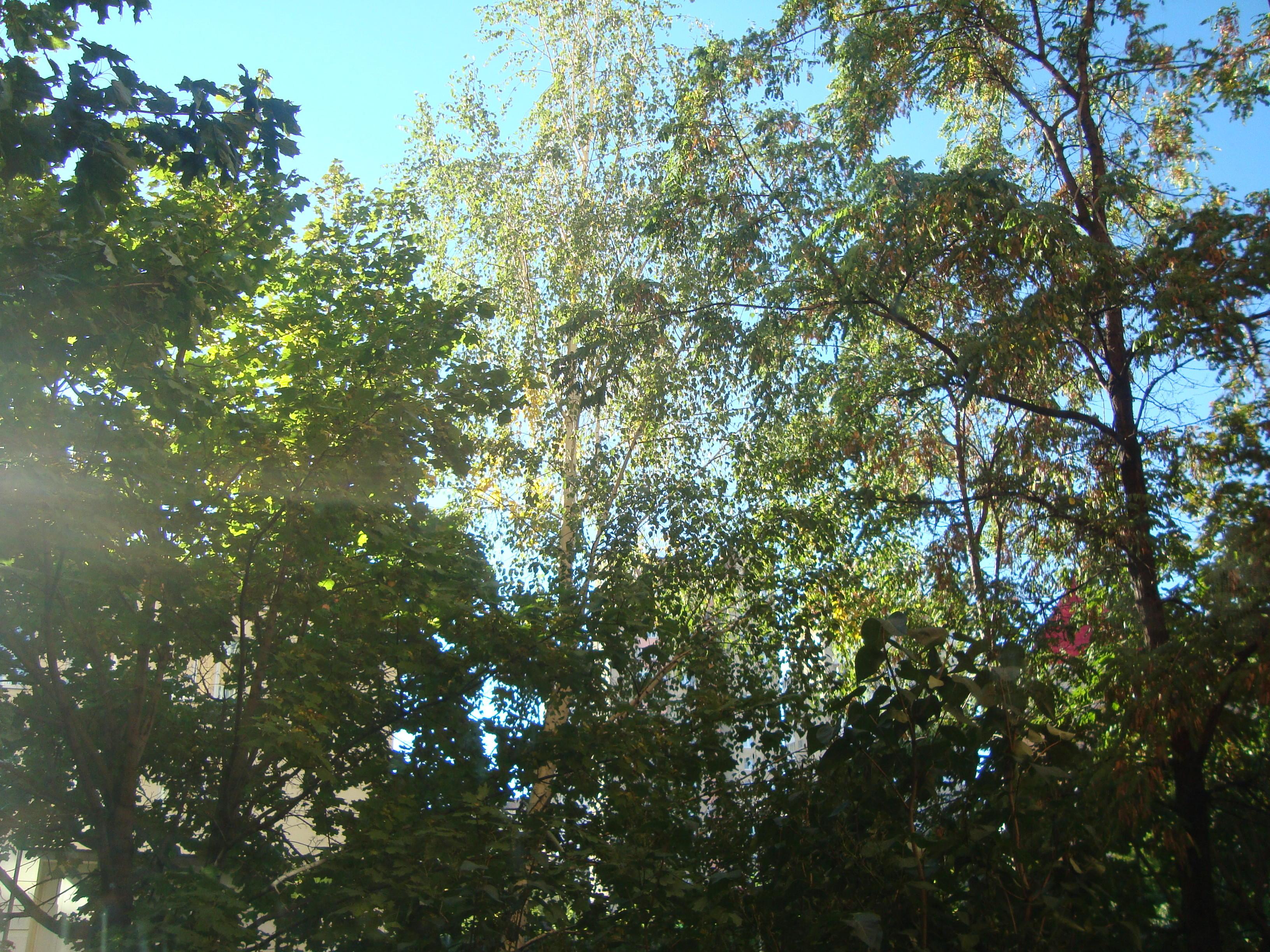 КОНЕЦ СЕНТЯБРЯ