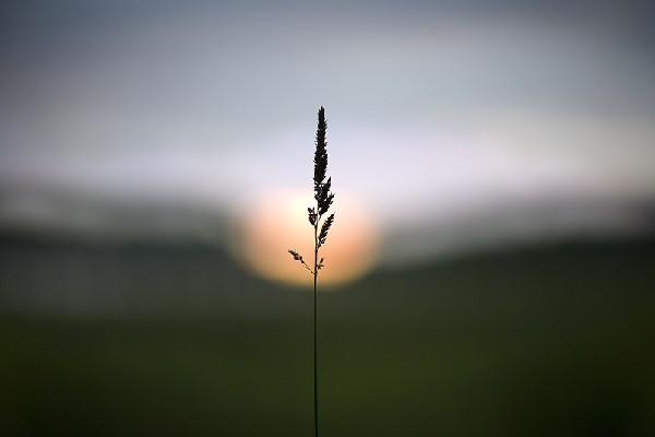 Мы ценим жизнь свою дороже, чем чужую