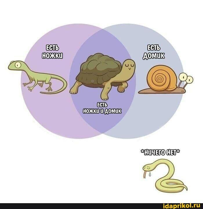 Из мира животных. ДвуХстишье детям