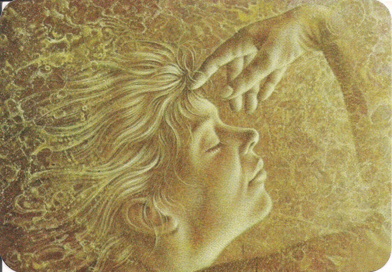 КУЗЬКИНА   МАТЬ . . .