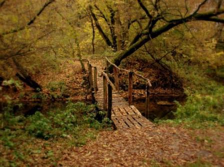 Нынче осень больно хороша...