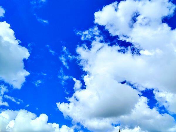 Лето бесконечное